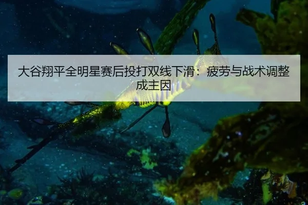 da-gu-xiang-ping-quan-ming-xing-sai-hou-tou-da-shuang-xian-xia-hua-pi-lao-yu-zhan-shu-tiao-zheng-cheng-zhu-yin-2-859.jpg