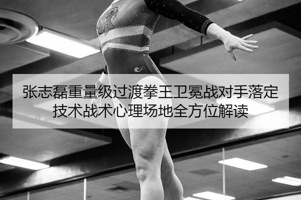 张志磊重量级过渡拳王卫冕战对手落定 技术战术心理场地全方位解读