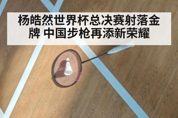 杨皓然世界杯总决赛射落金牌 中国步枪再添新荣耀